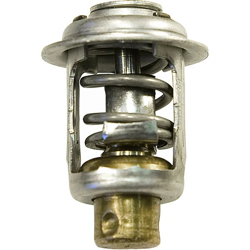 Sierra Thermostat 143 Deg -BRP #435491 18-3543