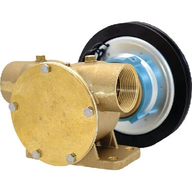 Johnson Pump F8B-5 1-1/4 Npt Clutch Pump 10-13022-95-3