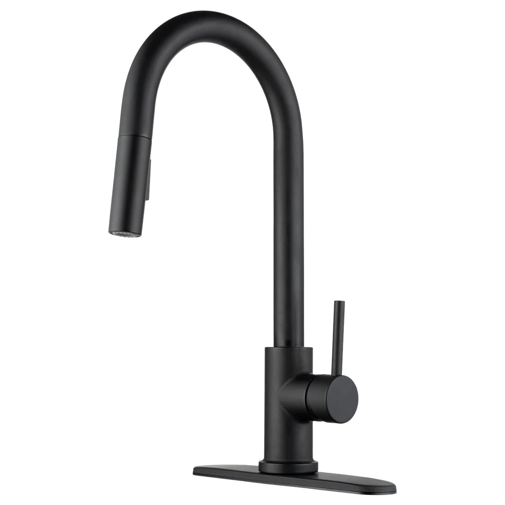 Dura Faucet Kitchen Faucet Matte Black – Marine Boat Replacement Part