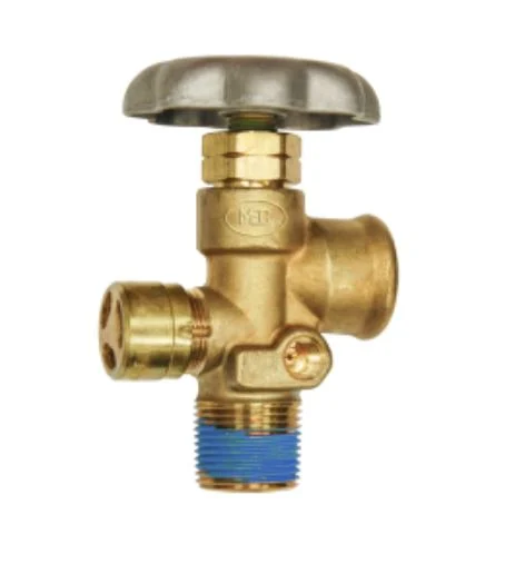 Ap Products Asme Service Valve 3/4'Ngt Inlet – Boat Pump & Plumbing Part