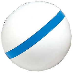 Taylor Sur Moor Buoy W/Bluestripe 30I 46375