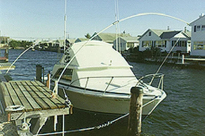 Monarch Mooring Whips - Whip Mini Std Duty W/adj. Base - 12