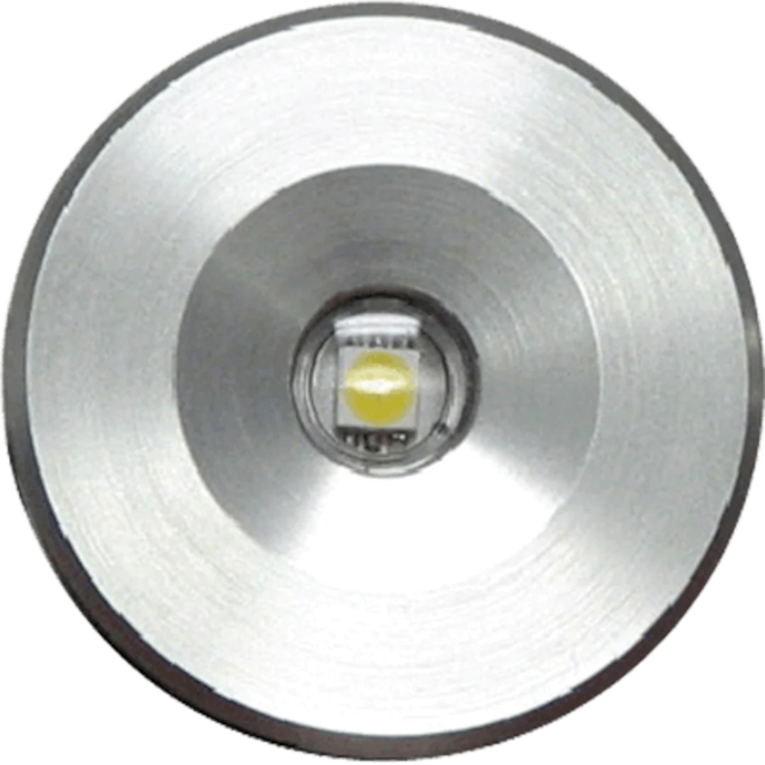 Lumitec Echo Courtesy Light - Brushed Housing - Blue Light