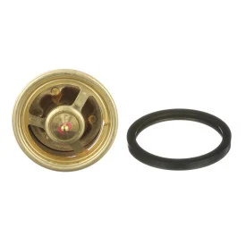 OEM Quicksilver/Mercury Thermostat Kit- 160 99155T 1