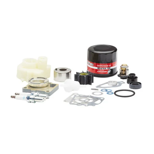 OEM Mercury 300 Hour Maintenance Kit, 15 and 20 HP FourStroke 0R235949 through 0R833819 8M0120838