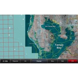 Garmin Standard Mapping - Florida West Pen Professional Microsd/Sd Card