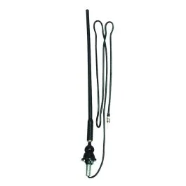 Jensen Am/Fm Flexible Antenna
