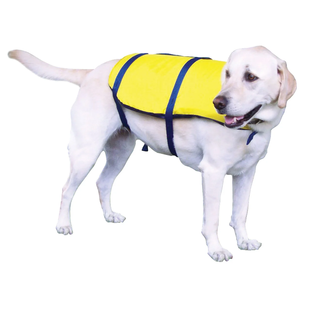 Onyx 157000-300-030-12 Nylon Pet Vest - Medium, Yellow with Navy - 157000-300-030-12