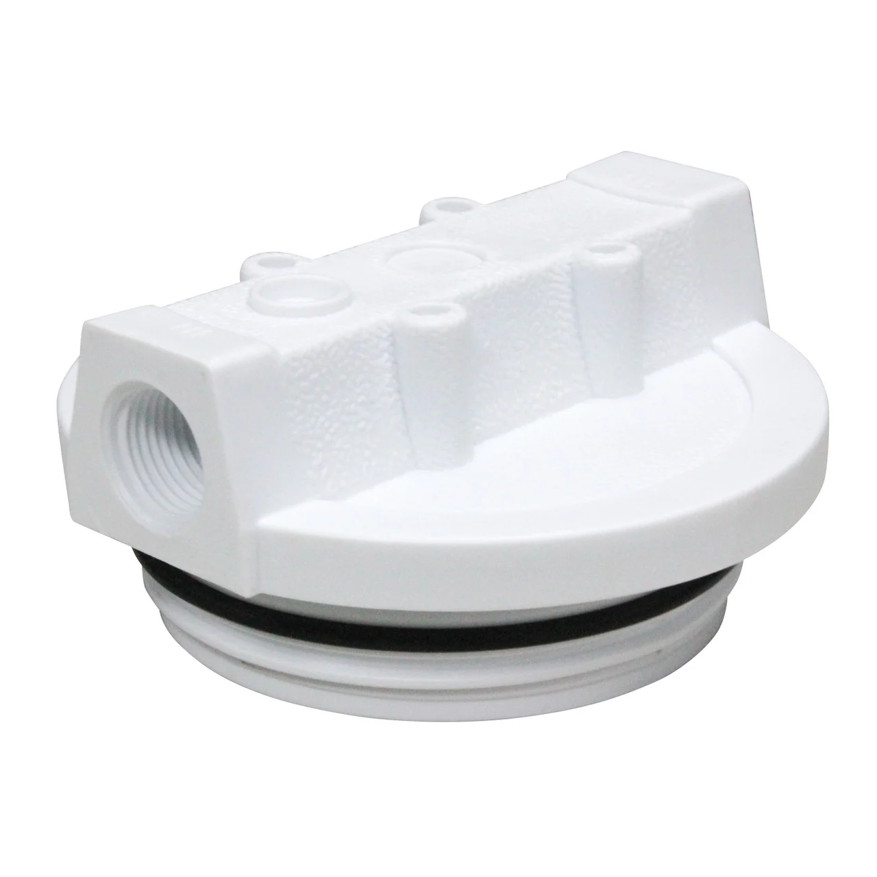 WaterPur 10-CLW CAP ONLY Replacement Cap - 10-CLW CAP ONLY